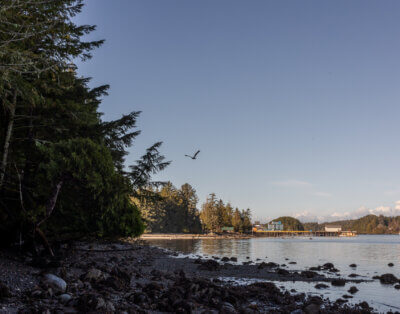 Eagle Cabin in Ucluelet